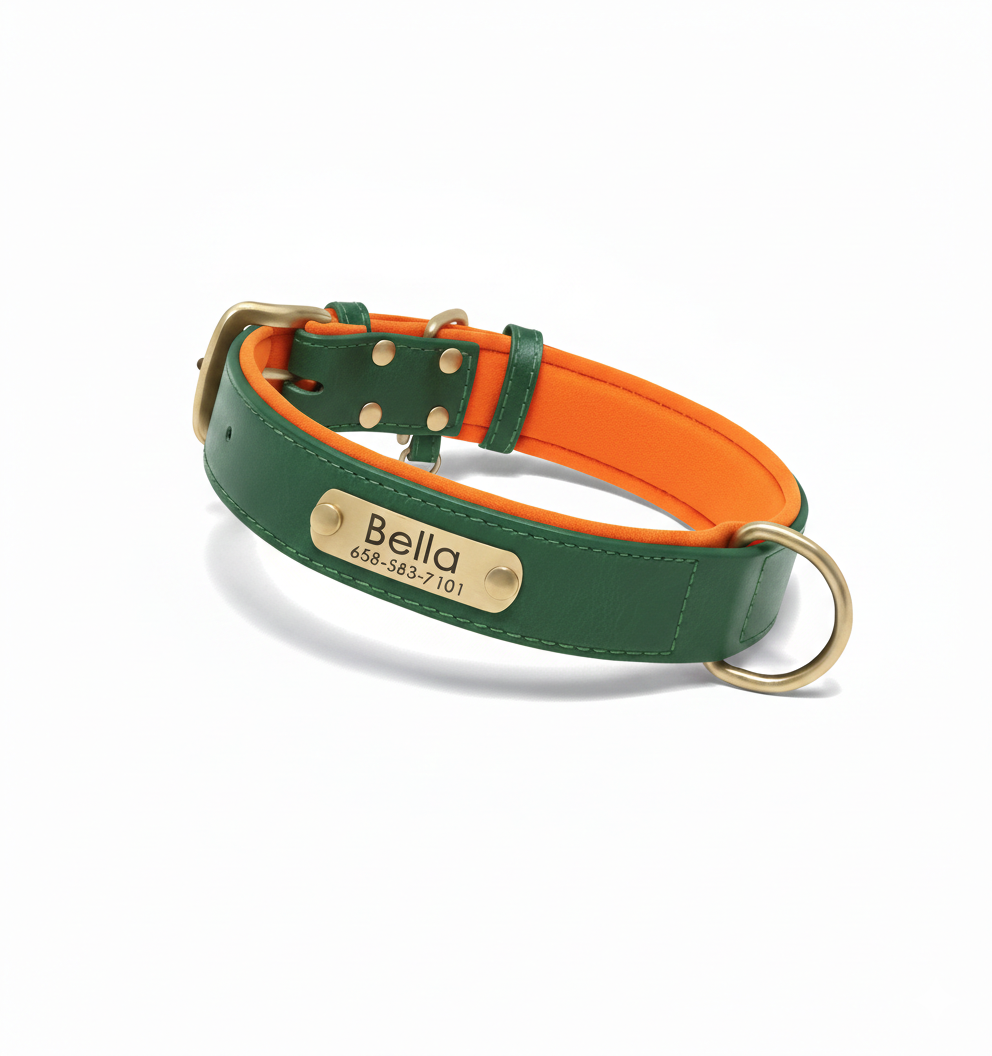 PawTag - Collier personnalisé pour chien