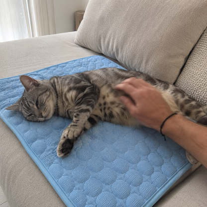 CoolMat – Tapis Rafraîchissant pour Chat