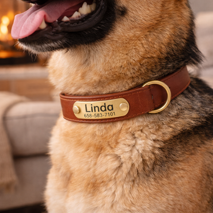 PawTag - Collier personnalisé pour chien
