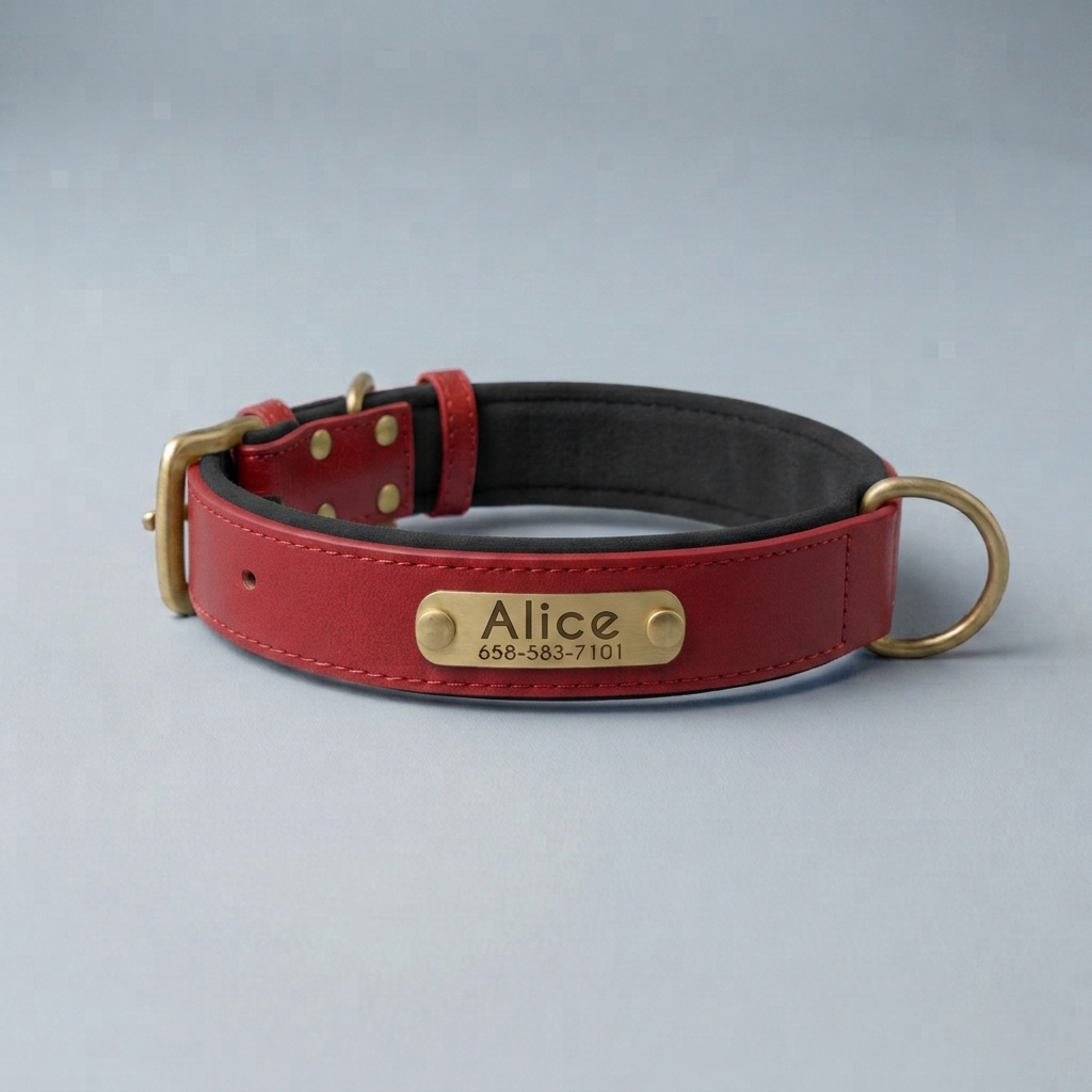 PawTag - Collier personnalisé pour chien