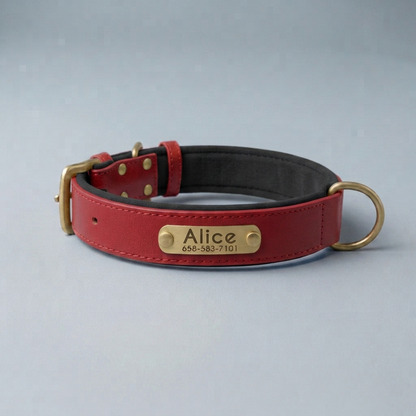PawTag - Collier personnalisé pour chien
