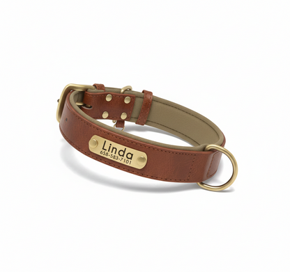PawTag - Collier personnalisé pour chien