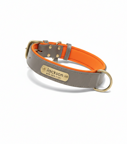PawTag - Collier personnalisé pour chien