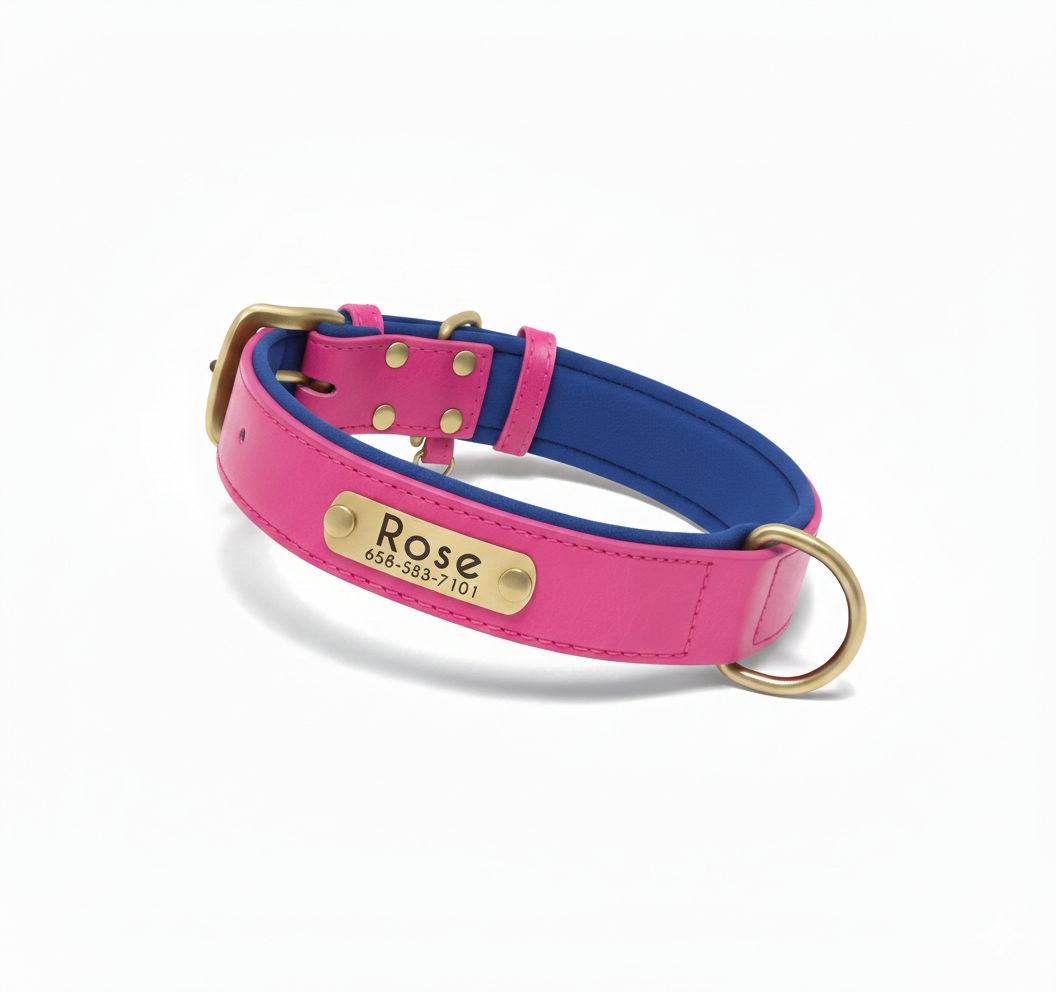 PawTag - Collier personnalisé pour chien