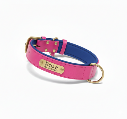 PawTag - Collier personnalisé pour chien