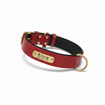 PawTag - Collier personnalisé pour chien