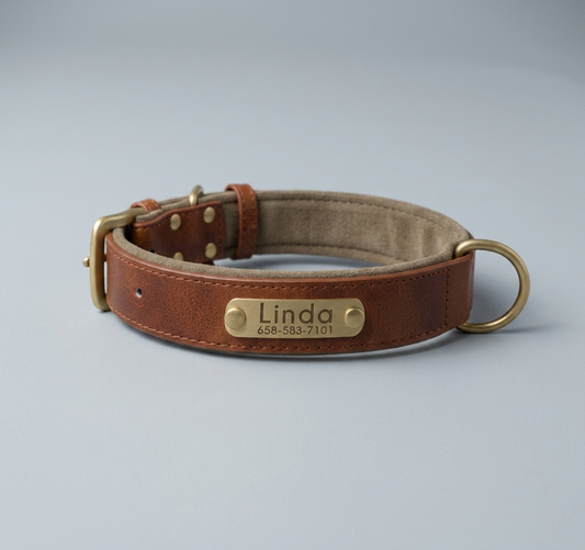 PawTag - Collier personnalisé pour chien