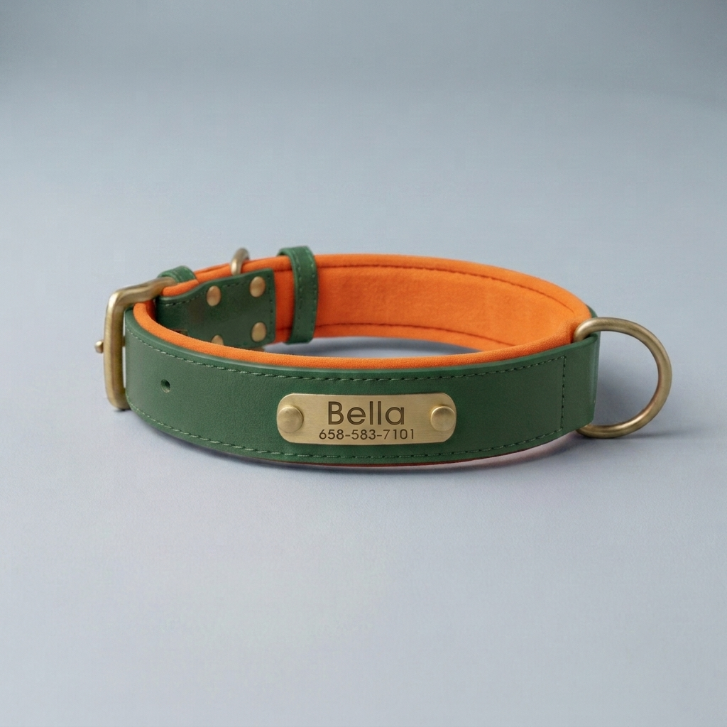 PawTag - Collier personnalisé pour chien
