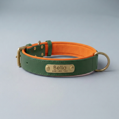 PawTag - Collier personnalisé pour chien