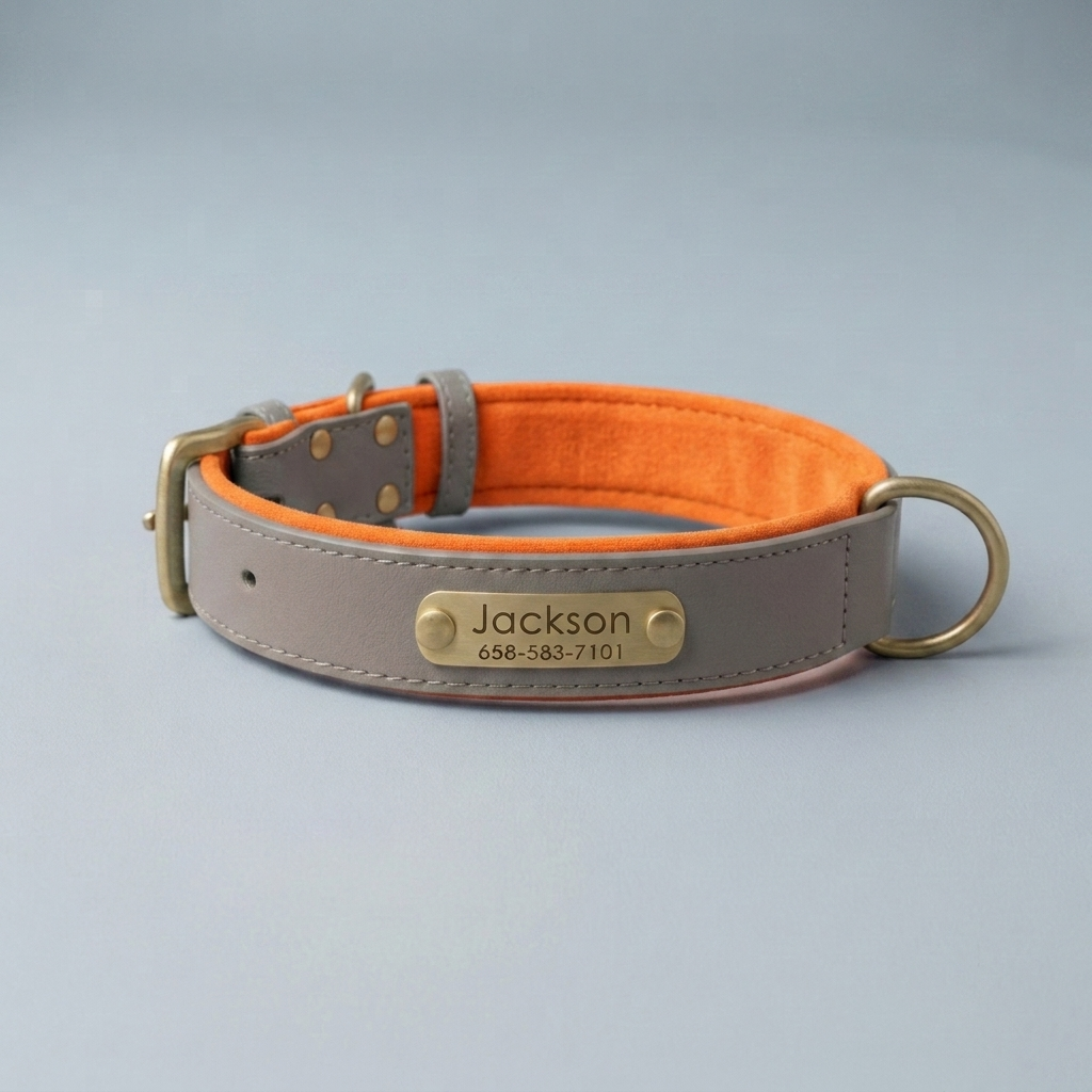 PawTag - Collier personnalisé pour chien