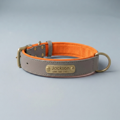 PawTag - Collier personnalisé pour chien