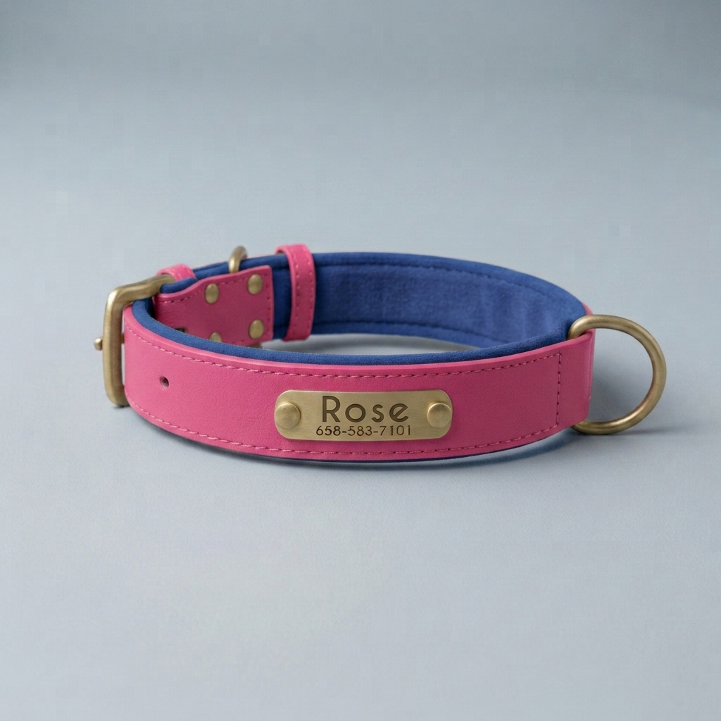 PawTag - Collier personnalisé pour chien